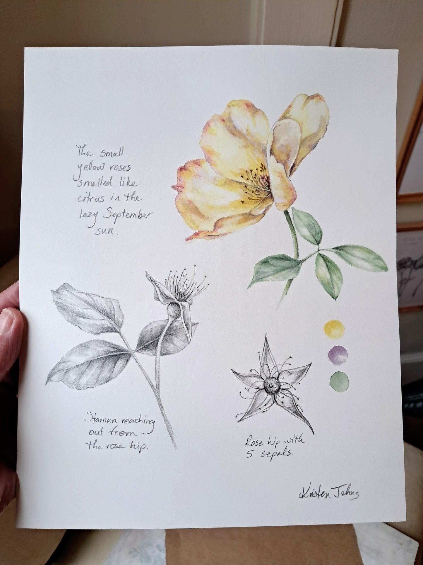 Yellow rose - original painting, 8x10 inches