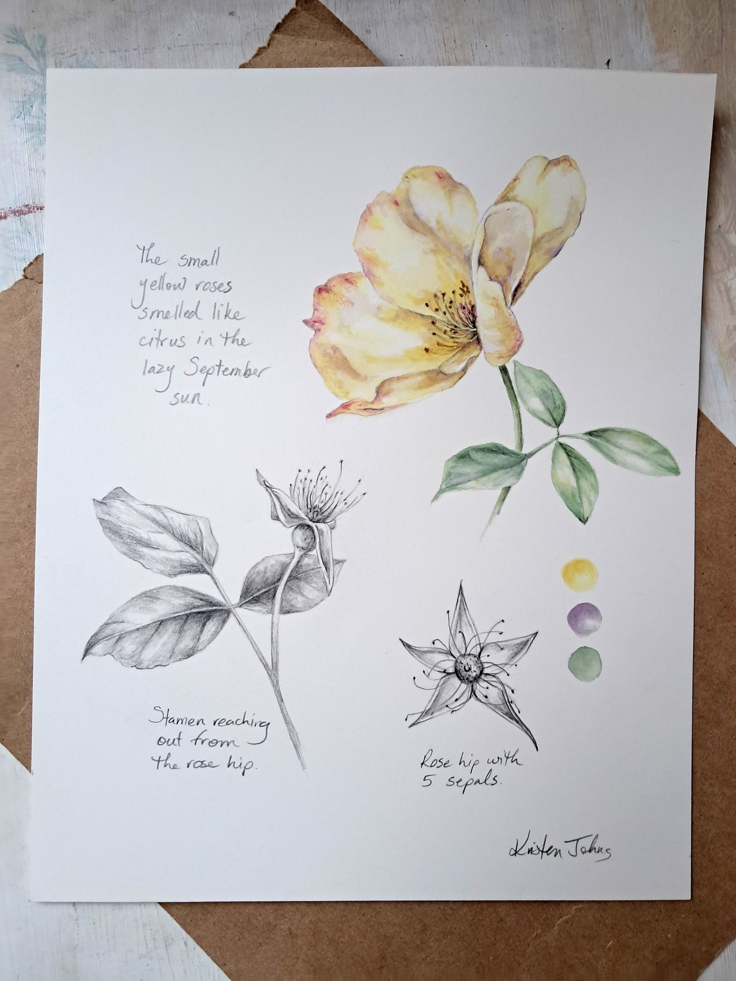 Yellow rose - original painting, 8x10 inches